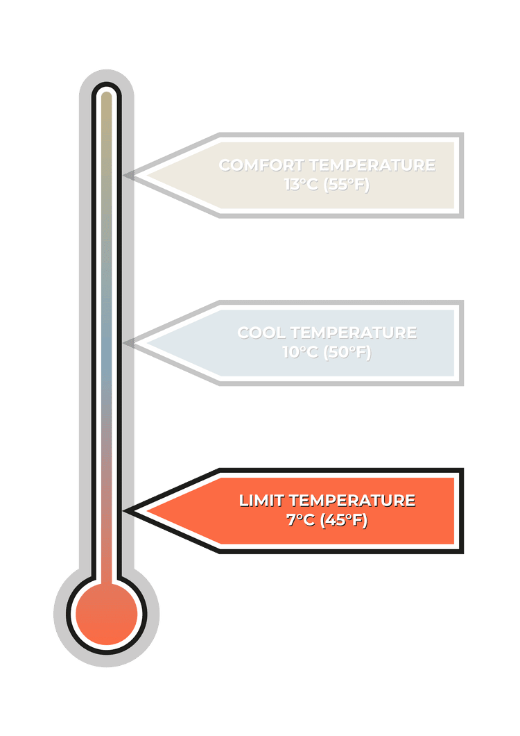 VOITED CloudTouch® Indoor/Outdoor Camping Blanket - Blocks Blankets VOITED