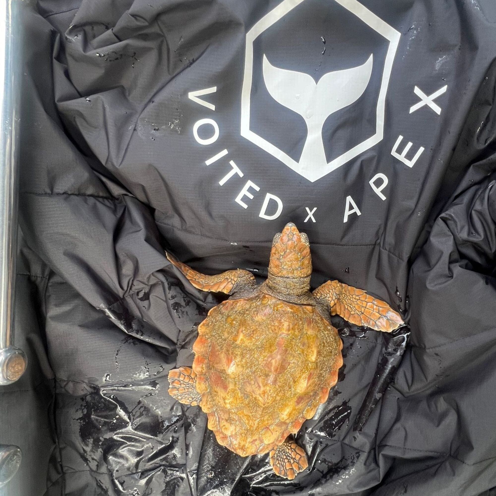 VOITED Outdoor Poncho - Apex Black | Water-resistant & Versatile